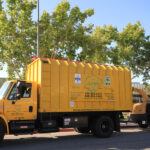 Tree trimming in Los Angeles County