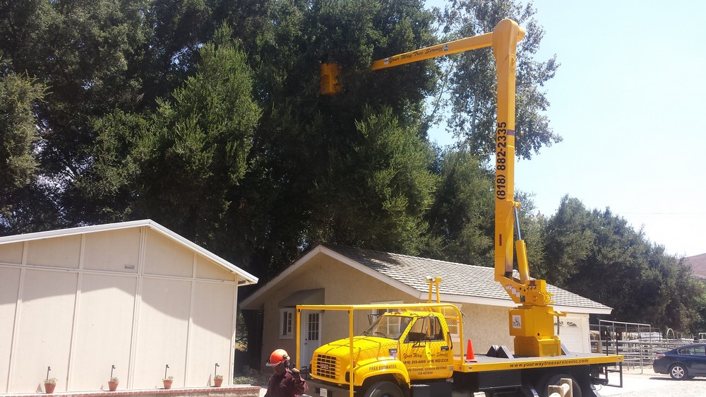 Affordable Tree Service Company