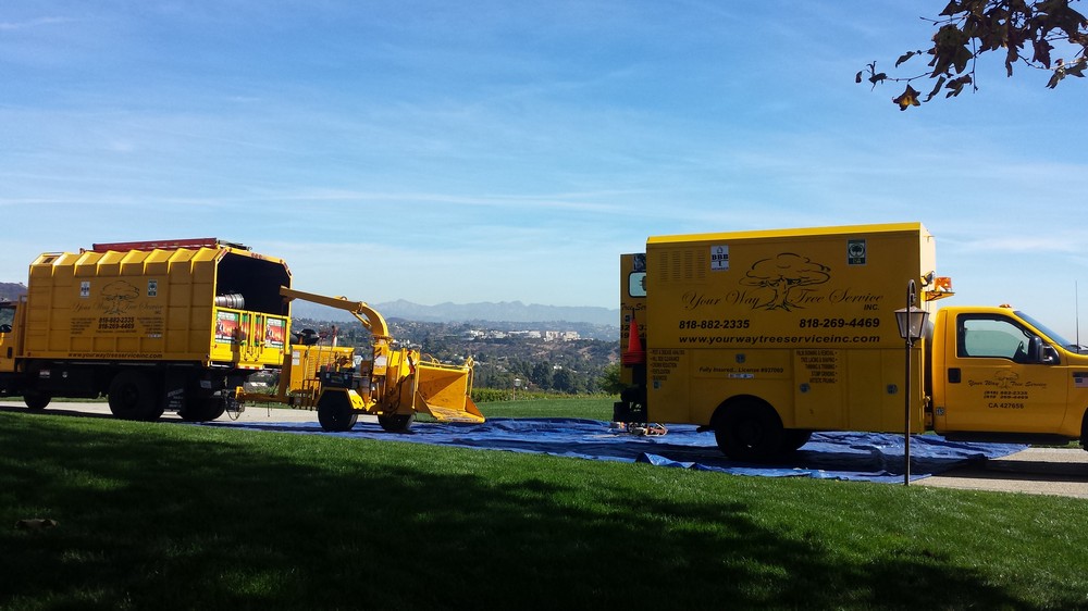 Tree Service Contractor Southern California