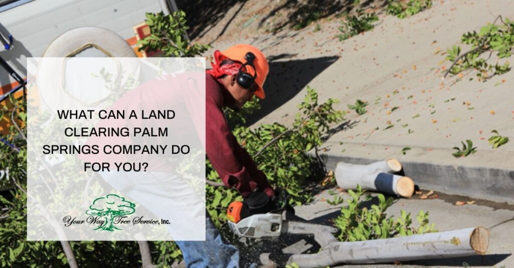 what can a land clearing palm springs company do for you