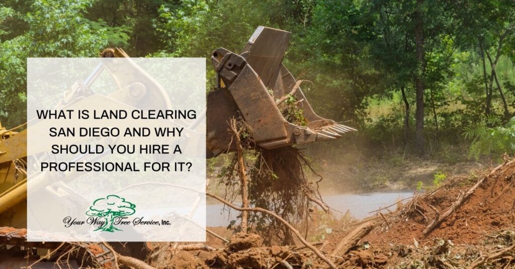 what is land clearing san diego and why should you hire a professional for it