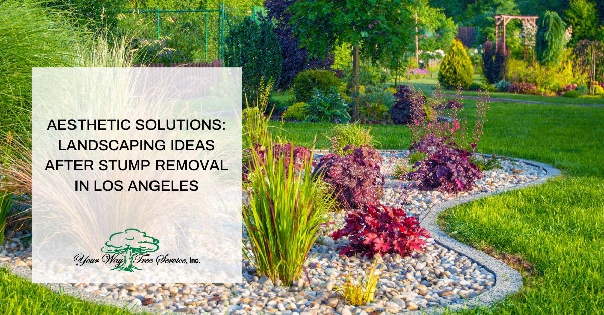 aesthetic solutions landscaping ideas after stump removal in los angeles