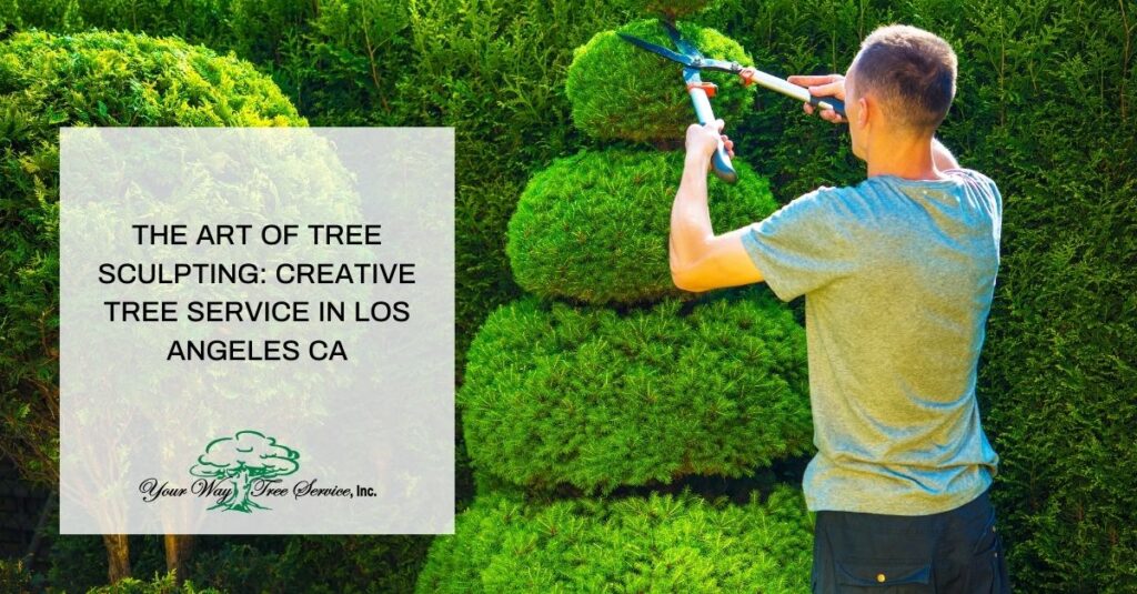 the art of tree sculpting creative tree service in los angeles ca