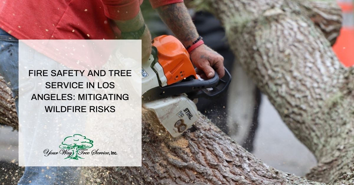 Tree Service in Los Angeles