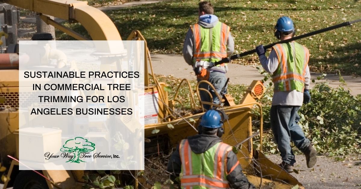 Tree Trimming Los Angeles